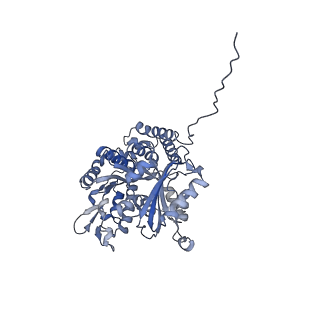 7522_7pqc_M_v1-1
tau-microtubule structural ensemble based on CryoEM data