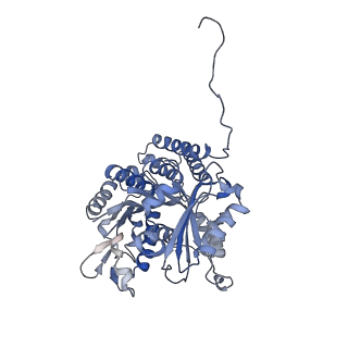 7522_7pqp_A_v1-1
tau-microtubule structural ensemble based on CryoEM data