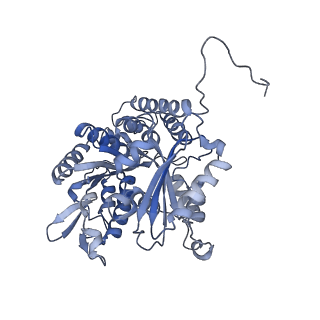 7522_7pqp_C_v1-1
tau-microtubule structural ensemble based on CryoEM data