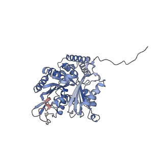 7522_7pqp_D_v1-1
tau-microtubule structural ensemble based on CryoEM data