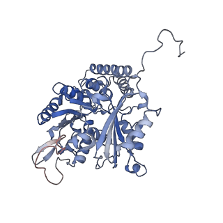 7522_7pqp_H_v1-1
tau-microtubule structural ensemble based on CryoEM data