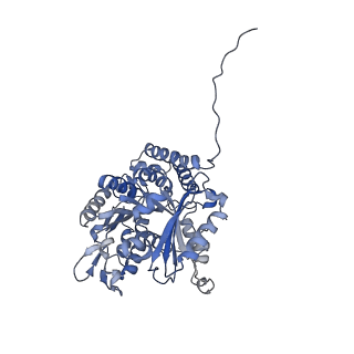 7522_7pqp_I_v1-1
tau-microtubule structural ensemble based on CryoEM data