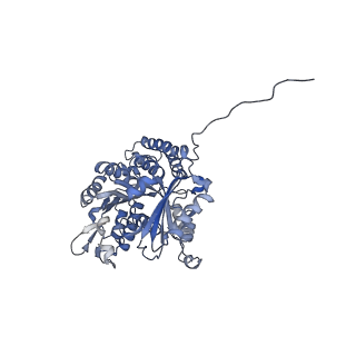 7522_7pqp_K_v1-1
tau-microtubule structural ensemble based on CryoEM data