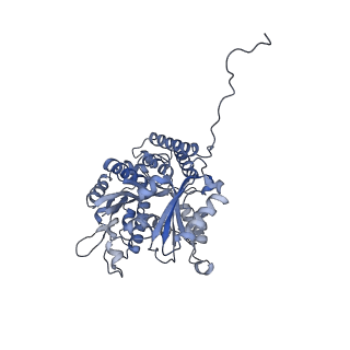 7522_7pqp_M_v1-1
tau-microtubule structural ensemble based on CryoEM data