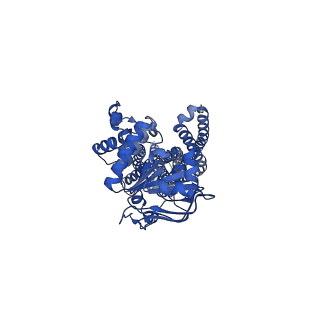 13607_7pr1_A_v1-0
Structure of CtAtm1 in the occluded conformation with ATP bound