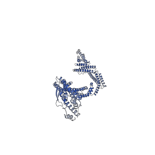 17832_8pr2_f_v1-0
Cytoplasmic dynein-1 heavy chain bound to JIP3-LZI