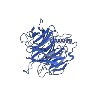 17832_8pr2_h_v1-0
Cytoplasmic dynein-1 heavy chain bound to JIP3-LZI