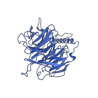 17833_8pr3_h_v1-0
Cytoplasmic dynein-1 heavy chain bound to JIP3-RH1