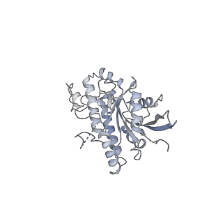 17833_8pr3_j_v1-0
Cytoplasmic dynein-1 heavy chain bound to JIP3-RH1