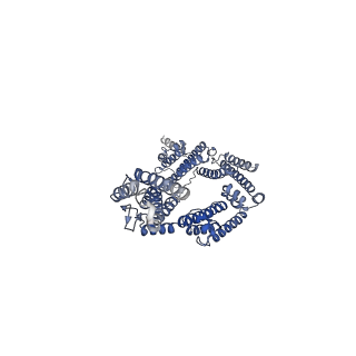 17833_8pr3_m_v1-0
Cytoplasmic dynein-1 heavy chain bound to JIP3-RH1