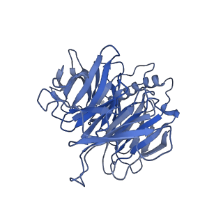 17833_8pr3_o_v1-0
Cytoplasmic dynein-1 heavy chain bound to JIP3-RH1