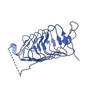 17834_8pr4_U_v1-0
Dynactin pointed end bound to JIP3