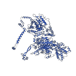 17839_8prv_A_v1-0
Asymmetric unit of the yeast fatty acid synthase in the non-rotated state with ACP at the ketosreductase domain (FASamn sample)