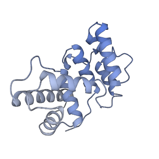 17839_8prv_B_v1-0
Asymmetric unit of the yeast fatty acid synthase in the non-rotated state with ACP at the ketosreductase domain (FASamn sample)