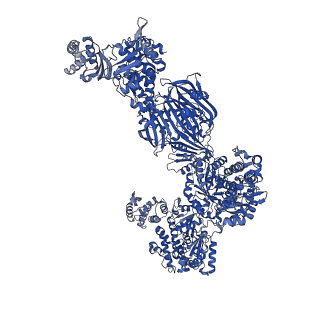 17839_8prv_G_v1-0
Asymmetric unit of the yeast fatty acid synthase in the non-rotated state with ACP at the ketosreductase domain (FASamn sample)