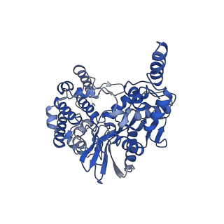 20457_6pr5_A_v1-3
Cryo-EM structure of HzTransib strand transfer complex (STC)