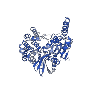 20457_6pr5_A_v1-4
Cryo-EM structure of HzTransib strand transfer complex (STC)