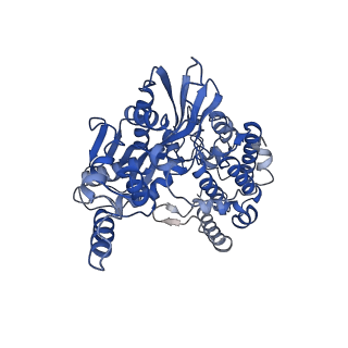 20457_6pr5_E_v1-3
Cryo-EM structure of HzTransib strand transfer complex (STC)
