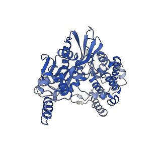 20457_6pr5_E_v1-4
Cryo-EM structure of HzTransib strand transfer complex (STC)