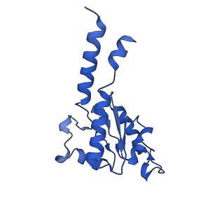 13611_7psa_B_v1-0
The acetogenin-bound complex I of Mus musculus resolved to 3.4 angstroms