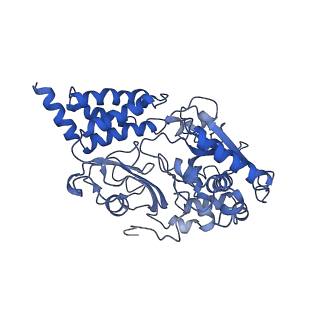 13611_7psa_F_v1-0
The acetogenin-bound complex I of Mus musculus resolved to 3.4 angstroms