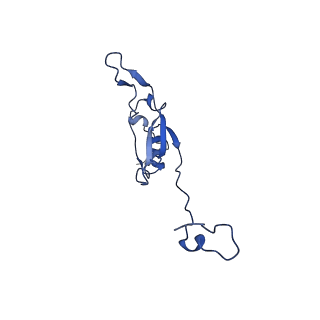 13611_7psa_Q_v1-0
The acetogenin-bound complex I of Mus musculus resolved to 3.4 angstroms