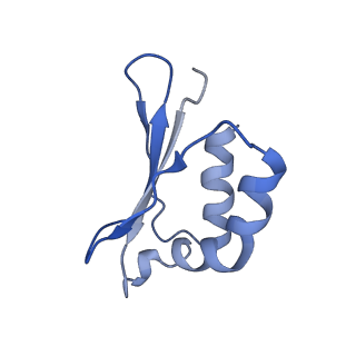 13611_7psa_S_v1-0
The acetogenin-bound complex I of Mus musculus resolved to 3.4 angstroms