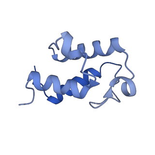 13611_7psa_U_v1-0
The acetogenin-bound complex I of Mus musculus resolved to 3.4 angstroms