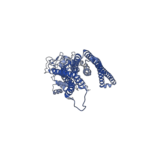 13613_7psl_A_v1-0
S. cerevisiae Atm1 in MSP1D1 nanodiscs in nucleotide-free state
