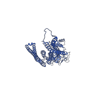 13613_7psl_B_v1-0
S. cerevisiae Atm1 in MSP1D1 nanodiscs in nucleotide-free state