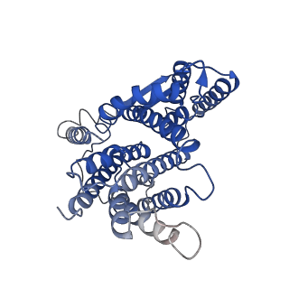 17841_8ps0_A_v1-0
Cryo-EM structure of Sodium proton exchanger NhaA with bound cardiolipin