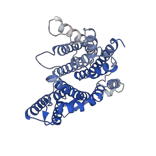 17841_8ps0_B_v1-0
Cryo-EM structure of Sodium proton exchanger NhaA with bound cardiolipin