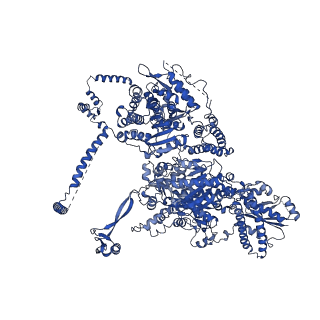 17842_8ps1_A_v1-0
Asymmetric unit of the yeast fatty acid synthase in the non-rotated state with ACP at the ketosynthase domain (FASamn sample)