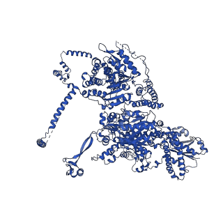 17843_8ps2_A_v1-0
Asymmetric unit of the yeast fatty acid synthase with ACP at the enoyl reductase domain (FASam sample)