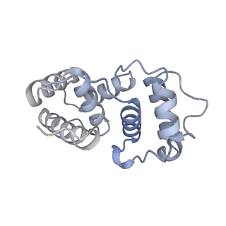 17843_8ps2_B_v1-0
Asymmetric unit of the yeast fatty acid synthase with ACP at the enoyl reductase domain (FASam sample)