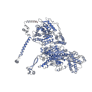 17846_8ps8_A_v1-0
Asymmetric unit of the yeast fatty acid synthase in the semi non-rotated state with ACP at the enoyl reductase domain (FASam sample)