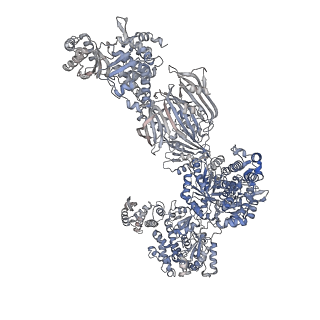 17846_8ps8_G_v1-0
Asymmetric unit of the yeast fatty acid synthase in the semi non-rotated state with ACP at the enoyl reductase domain (FASam sample)