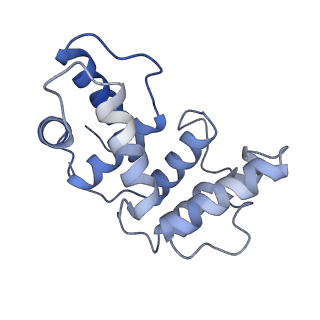 17847_8ps9_B_v1-0
Asymmetric unit of the yeast fatty acid synthase in the non-rotated state with ACP at the ketosynthase domain (FASam sample)