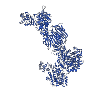 17847_8ps9_G_v1-0
Asymmetric unit of the yeast fatty acid synthase in the non-rotated state with ACP at the ketosynthase domain (FASam sample)