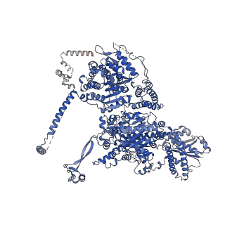 17848_8psa_A_v1-0
Asymmetric unit of the yeast fatty acid synthase in the semi non-rotated state with ACP at the ketosynthase domain (FASam sample)