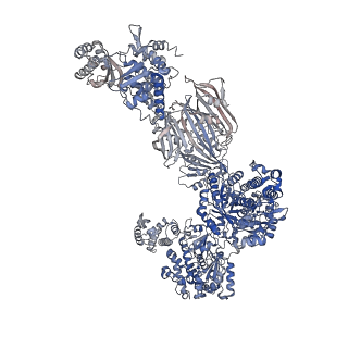17848_8psa_G_v1-0
Asymmetric unit of the yeast fatty acid synthase in the semi non-rotated state with ACP at the ketosynthase domain (FASam sample)