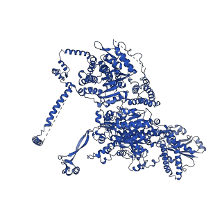 17851_8psf_A_v1-0
Asymmetric unit of the yeast fatty acid synthase in non-rotated state with ACP at the acetyl transferase domain (FASx sample)