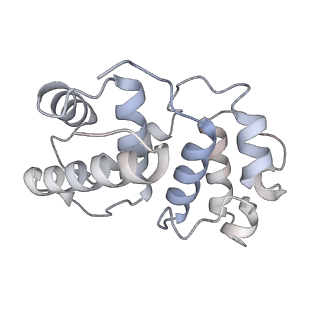 17851_8psf_B_v1-0
Asymmetric unit of the yeast fatty acid synthase in non-rotated state with ACP at the acetyl transferase domain (FASx sample)