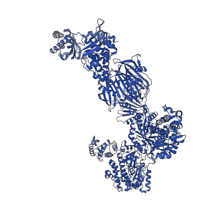 17851_8psf_G_v1-0
Asymmetric unit of the yeast fatty acid synthase in non-rotated state with ACP at the acetyl transferase domain (FASx sample)
