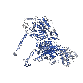 17852_8psg_A_v1-0
Asymmetric unit of the yeast fatty acid synthase in the semi non-rotated state with ACP at the acetyl transferase domain (FASx sample)