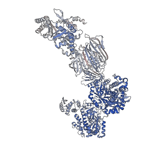 17852_8psg_G_v1-0
Asymmetric unit of the yeast fatty acid synthase in the semi non-rotated state with ACP at the acetyl transferase domain (FASx sample)