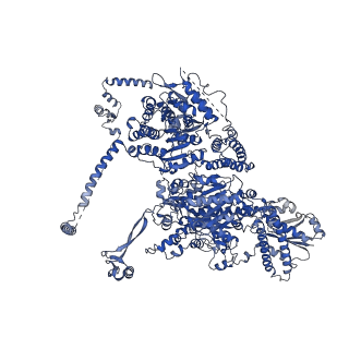 17853_8psj_A_v1-0
Asymmetric unit of the yeast fatty acid synthase in the semi rotated state with ACP at the acetyl transferase domain (FASx sample)