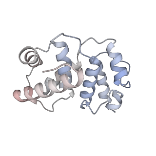 17853_8psj_B_v1-0
Asymmetric unit of the yeast fatty acid synthase in the semi rotated state with ACP at the acetyl transferase domain (FASx sample)