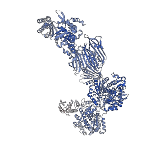 17853_8psj_G_v1-0
Asymmetric unit of the yeast fatty acid synthase in the semi rotated state with ACP at the acetyl transferase domain (FASx sample)