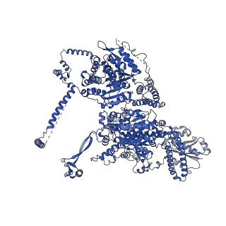 17854_8psk_A_v1-0
Asymmetric unit of the yeast fatty acid synthase in the non-rotated state with ACP at the ketosynthase domain (FASx sample)